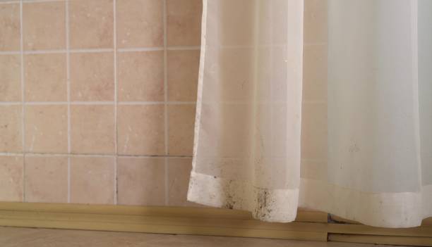 Best Asbestos and Lead Testing During Mold Inspection  in Enterprise, WV