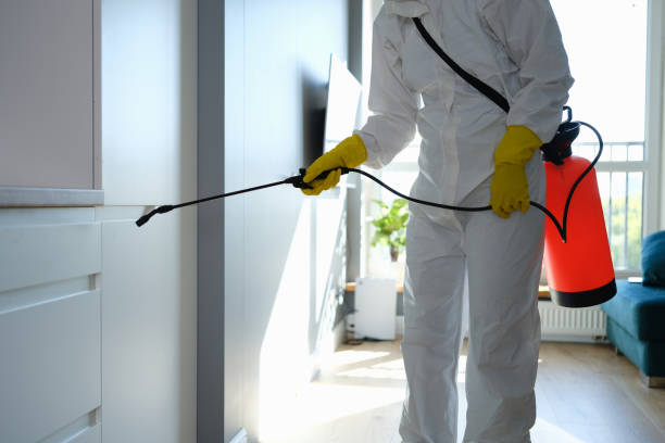Best Black Mold Removal  in Enterprise, WV
