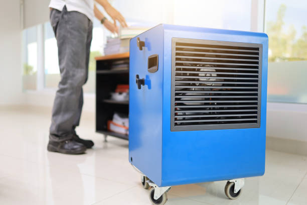  Enterprise, WV Mold Removal Pros